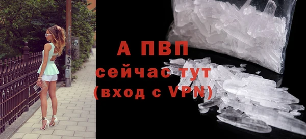 ПСИЛОЦИБИНОВЫЕ ГРИБЫ Белокуриха