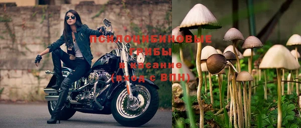 ПСИЛОЦИБИНОВЫЕ ГРИБЫ Белокуриха