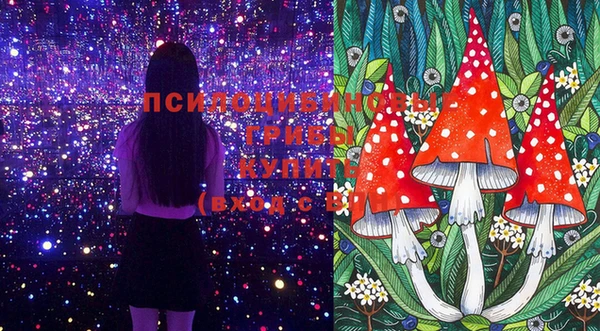 ПСИЛОЦИБИНОВЫЕ ГРИБЫ Белокуриха