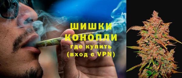 ПСИЛОЦИБИНОВЫЕ ГРИБЫ Белокуриха