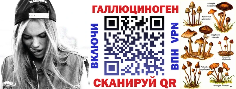 Псилоцибиновые грибы Psilocybe Нестеровская