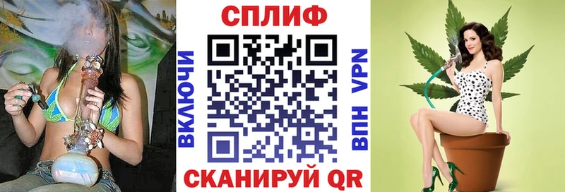 Каннабис OG Kush  Нестеровская 